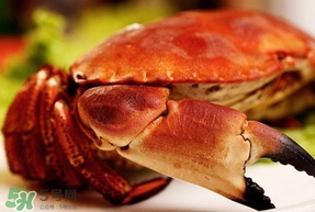 熟凍面包蟹怎么解凍？熟凍面包蟹要怎么清洗