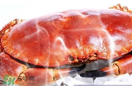 速凍面包蟹如何處理？活面包蟹怎么處理清洗