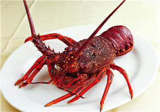 澳洲龍蝦是淡水的嗎？澳洲龍蝦是海鮮嗎？