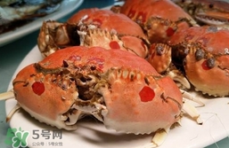 面包蟹什么季節(jié)吃最好？面包蟹什么時(shí)候最有黃