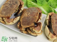 活面包蟹怎么保存？面包蟹能保存多久