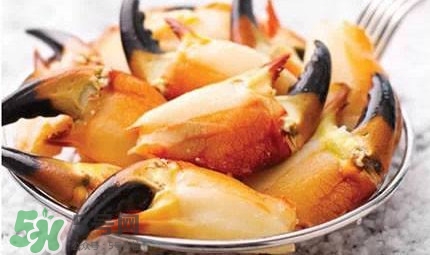 熟凍面包蟹好吃嗎？面包蟹是鮮活的好還是熟凍的好