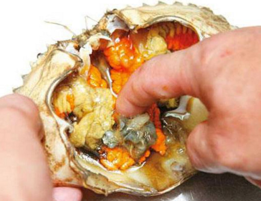 活面包蟹怎么打開？活面包蟹怎么殺