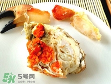 面包蟹是黃道蟹嗎？黃道蟹和面包蟹一樣嗎