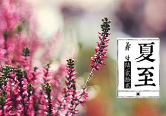 夏至是什么意思？夏至的習俗有哪些