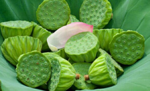 新鮮蓮子什么時候有？新鮮蓮子幾月有？