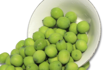 新鮮蓮子什么時候有？新鮮蓮子幾月有？