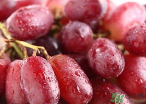 提子皮澀怎么處理？提子皮澀能吃嗎？