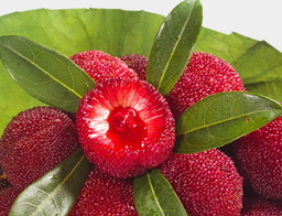 楊梅泡酒能放多久？楊梅酒保質期