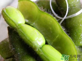 毛豆可以隔夜吃嗎？煮的毛豆隔夜還能吃嗎？