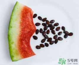 西瓜籽怎么種植？西瓜籽能種出西瓜嗎？