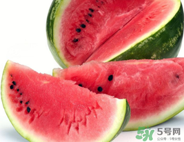 西瓜籽怎么種植？西瓜籽能種出西瓜嗎？