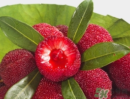 喝楊梅酒會拉肚子嗎？楊梅酒可以治療拉肚子嗎？