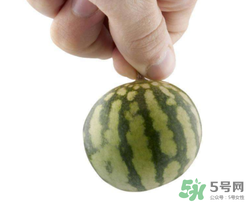 小西瓜叫什么名字？小西瓜是轉(zhuǎn)基因嗎？