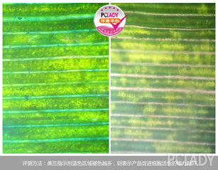 ysl按摩棒怎么用？ysl按摩棒使用方法