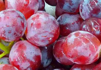 提子皮澀怎么處理？提子皮澀能吃嗎？