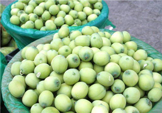 新鮮蓮子什么時(shí)候有？新鮮蓮子幾月有？