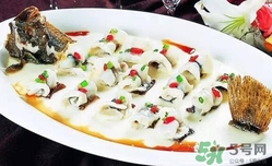 多寶魚是海魚嗎？多寶魚是海魚還是淡水魚