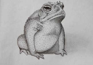 癩蛤蟆趴在腳面上是什么意思？癩蛤蟆趴到腳面上歇后語(yǔ)