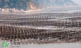 2017暑假旅游帶孩子去哪里好？2017暑假旅游線路推薦