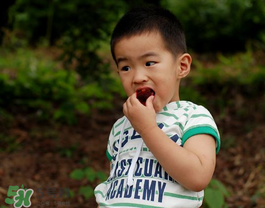 楊梅汁弄到白衣服上怎么洗？白色衣服上的楊梅汁怎么洗？