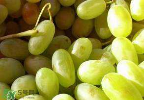 馬奶葡萄怎么保存？馬奶葡萄保存方法