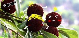 楊梅發(fā)霉了還能吃嗎？吃了發(fā)霉的楊梅會怎樣？