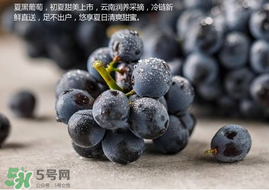 無籽葡萄孕婦能不能吃？無籽葡萄和葡萄的區(qū)別