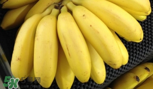 芭蕉可以空腹吃嗎？空腹吃芭蕉有什么危害