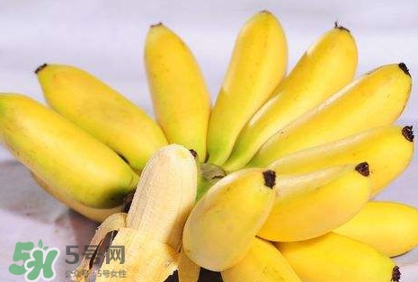 芭蕉可以治便秘嗎？芭蕉的功效與作用