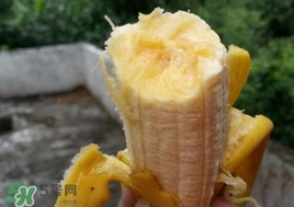 芭蕉能和蜂蜜一起吃嗎？蜂蜜可以和芭蕉一起吃嗎