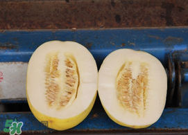 黃金瓜孕婦能吃嗎？孕婦可以吃黃金瓜嗎？