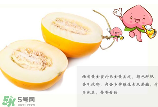 黃金瓜熱量高嗎？黃金瓜會(huì)胖嗎？