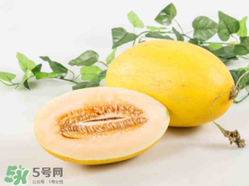 黃金瓜是熱性還是涼性？黃金瓜是涼性的嗎？