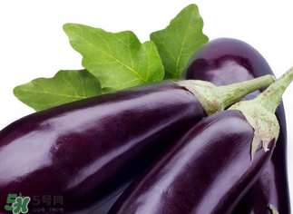 茄子怎么挑選？如何挑選茄子？