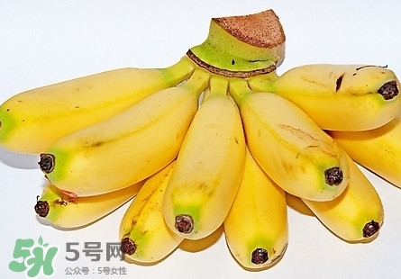 芭蕉熱量高嗎？芭蕉可以減肥嗎