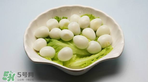 鵪鶉蛋和雞蛋哪個營養(yǎng)價值高？鵪鶉蛋怎么選購？