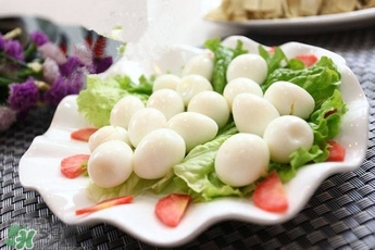 鵪鶉蛋和雞蛋哪個營養(yǎng)價值高？鵪鶉蛋怎么選購？