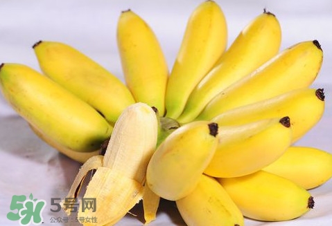 芭蕉是熱性還是涼性？芭蕉是熱性還是寒性？