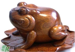 蟾蜍有什么寓意？為什么蟾蜍被寓意為招財？