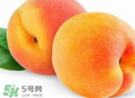 芭蕉和桃子能一起吃嗎？芭蕉可以和桃子一起吃嗎