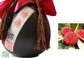 楊梅酒和青梅酒哪個(gè)好喝？楊梅酒和青梅酒區(qū)別