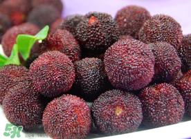 東魁楊梅多少錢一斤？東魁楊梅多少錢一斤2017？