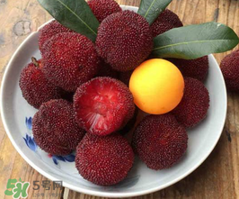 仙居楊梅幾月份上市？仙居楊梅什么時候上市？