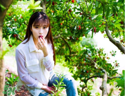 仙居楊梅在哪里？仙居楊梅哪里最好？