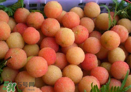 白楊梅可以泡酒嗎？白楊梅泡酒有什么功效？