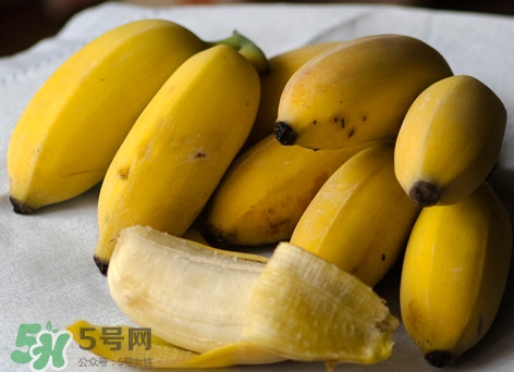 皇帝蕉是不是香蕉？皇帝蕉與普通香蕉區(qū)別