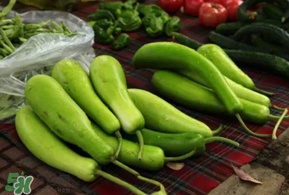 瓠子多少錢一斤？瓠子多少錢一斤2017？