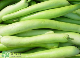 瓠子是什么？瓠子是什么意思？