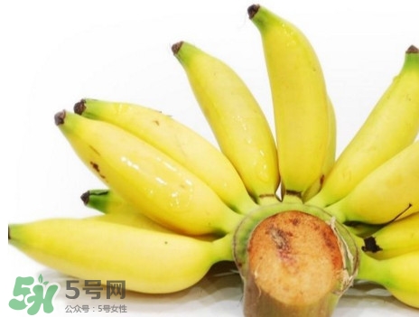 皇帝蕉是轉(zhuǎn)基因的嗎？皇帝蕉產(chǎn)地是哪里？